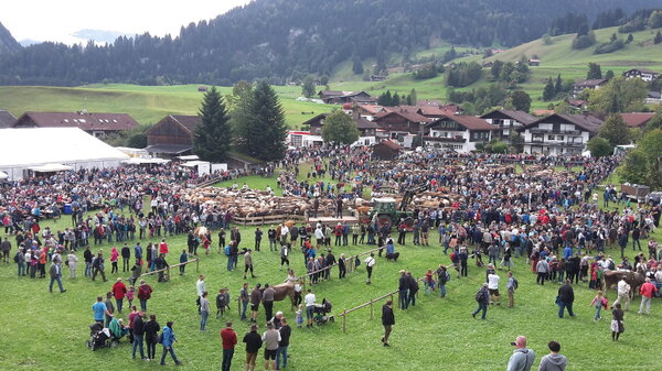 Viehscheid Obermaiselstein