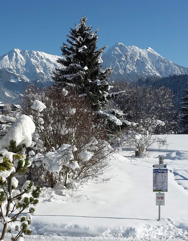 Bergwelt Obermaiselstein
